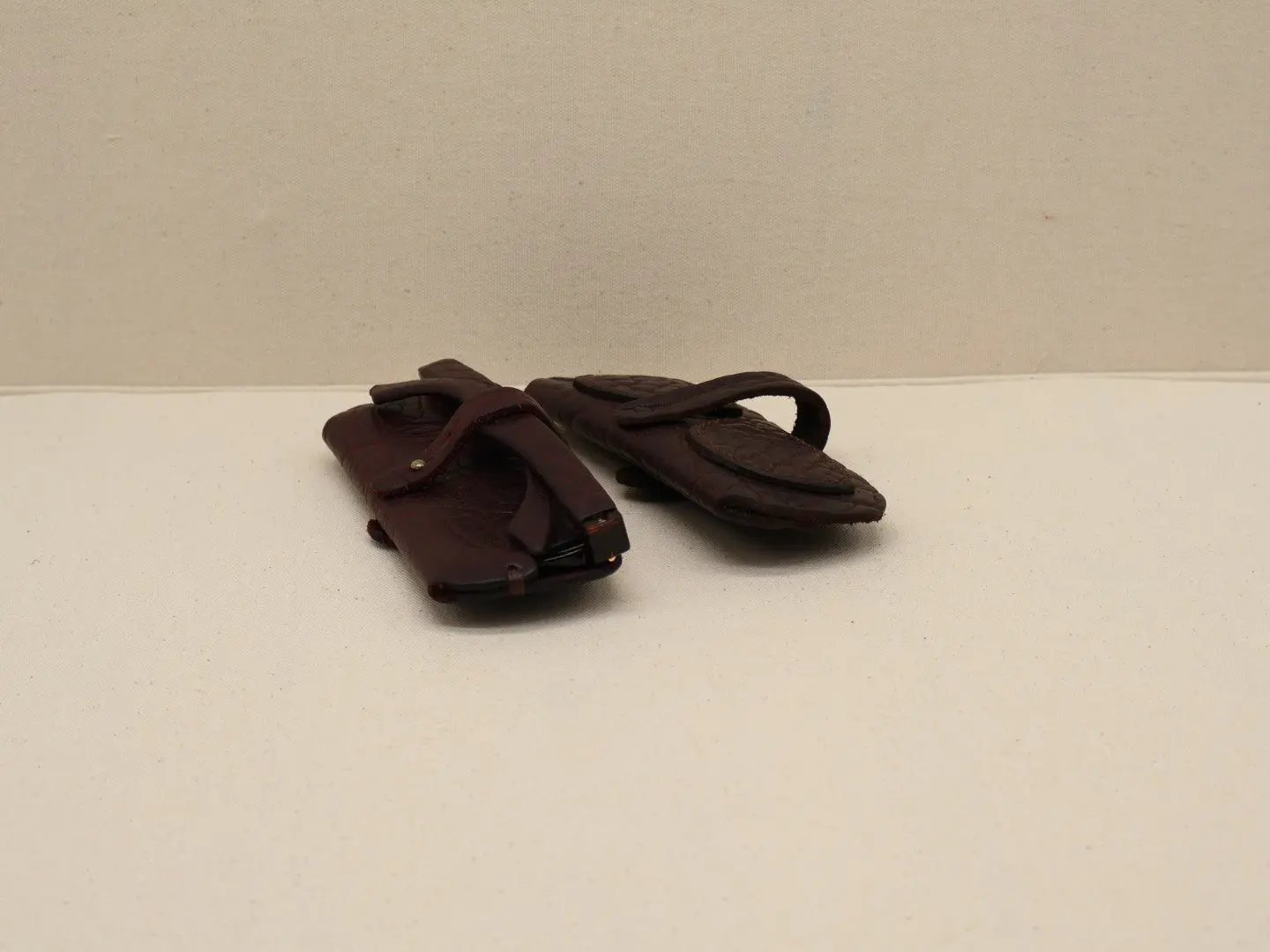 Eyeglass Leather Cover euGo original